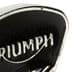 Picture of Triumph - Black Triangle Pin